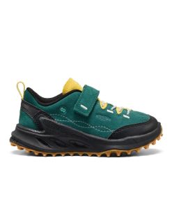 Little Kid's Jasper Zionic Sneaker  |  Mediterranea/Cabbage